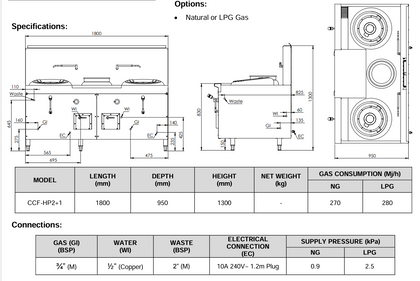 CCF-HP2+1