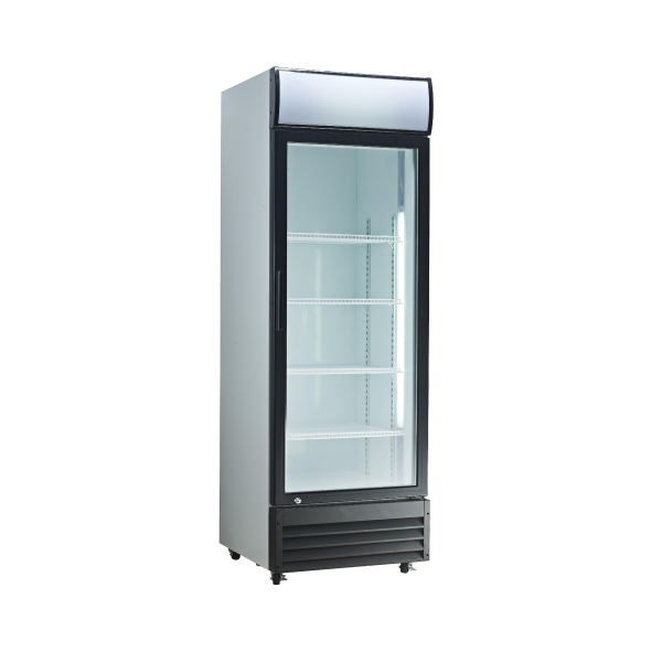 Exquisite DC400P One Glass Door Upright Display Refrigerators – White