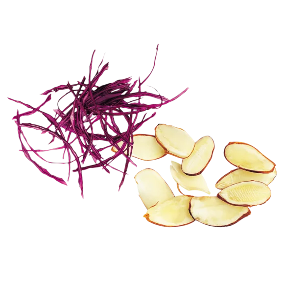 Robot Coupe 28166W - Almonds Slicer 0.6mm