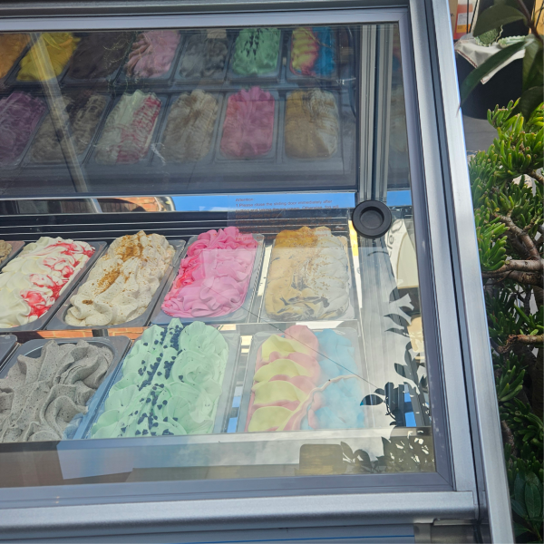 Exquisite IC18T – 18 Tubs Ice Cream Scooping Freezers