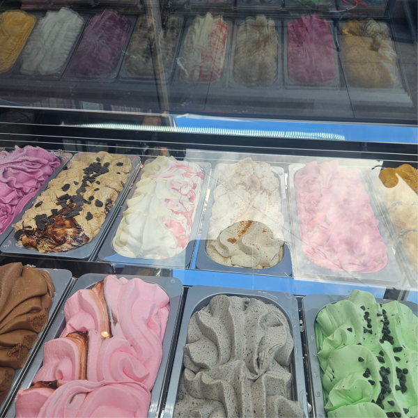 Exquisite IC18T – 18 Tubs Ice Cream Scooping Freezers