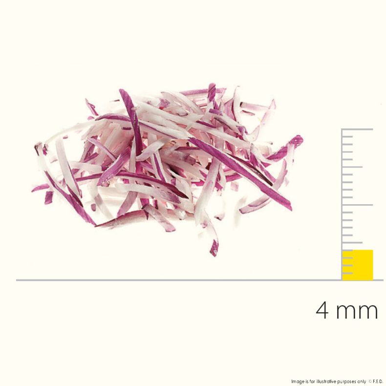 Dito Sama Stainless Steel Shredding Disc With S-Blades 4X4 Mm - DS650077