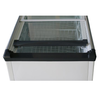 ATOSA SD-620P Flat Glass Top Chest Freezer 545L 1810mm