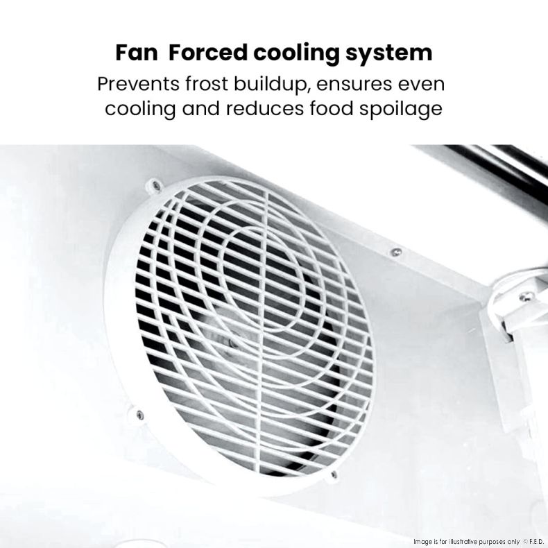 Thermaster Single Glass Door Colourbond Upright Drink Fridge LG-370P