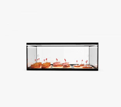 Sayl ADS0025 Ambient Display Single Tie 555 × 330 × 200 mm