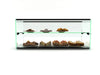 Sayl ADS0036 Ambient Display Two Tier 920 × 390 × 375 mm