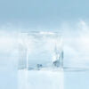 Hoshizaki  IM-130NE-21 Cube Ice Maker