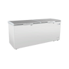 Exquisite ESS760H Stainless Steel Top Storage Chest Freezers