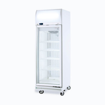 Upright Display Freezer 444L  1 Door Flat Glass  Lightbox