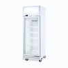 Upright Display Freezer 444L  1 Door Flat Glass  Lightbox