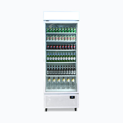 Upright Display Fridge – 659L – 1 Door – Flat Glass – Lighbox