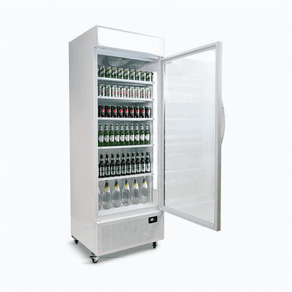 Upright Display Fridge  659L 1 Door  Flat Glass  Lighbox