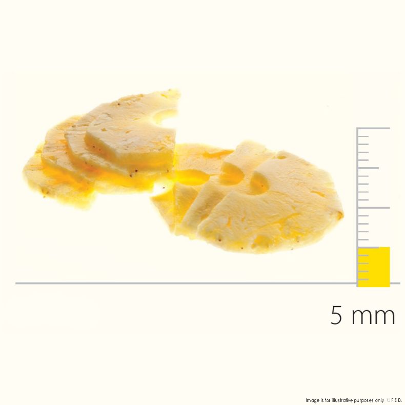 Dito Sama Stainless Steel Slicing Disc With S-Blades 5 mm - DS650086