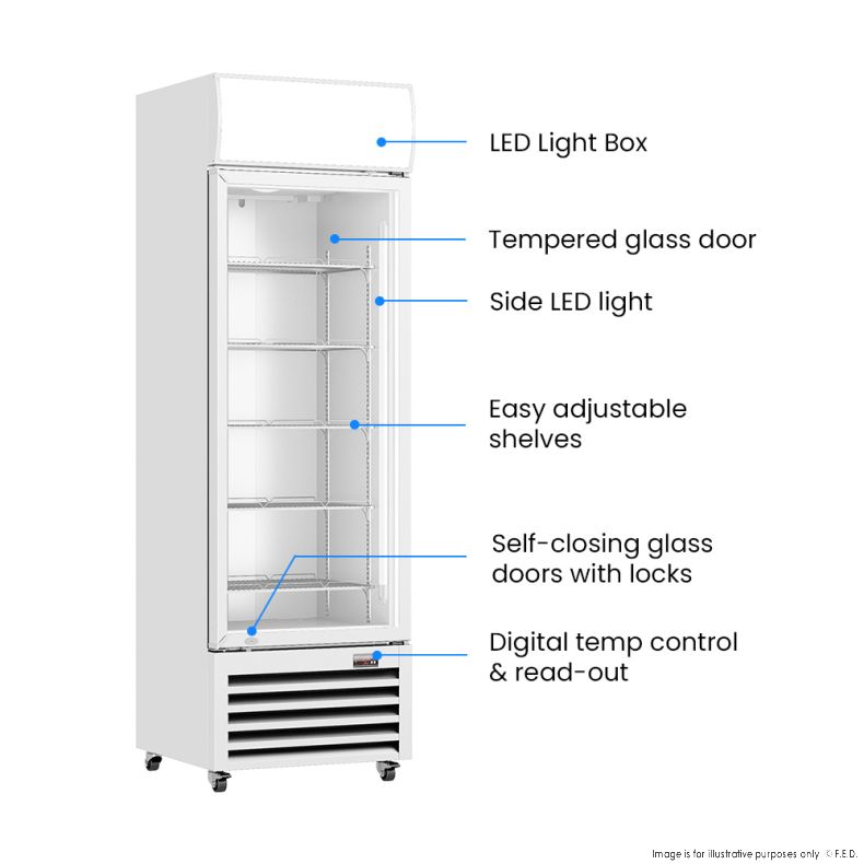 Thermaster Single Glass Door Colourbond Upright Drink Fridge LG-370P