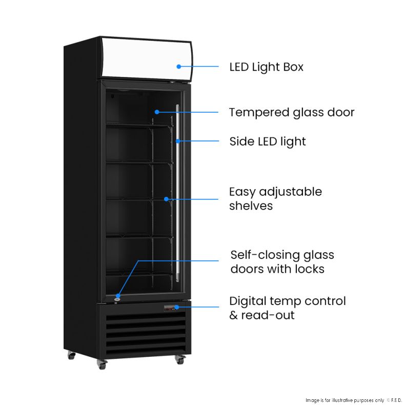 Thermaster Single Glass Door Black Colourbond Upright Drink Fridge - LG-540BP
