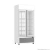 Thermaster Double Glass Door Colourbond Upright Drink Fridge - LG-580P