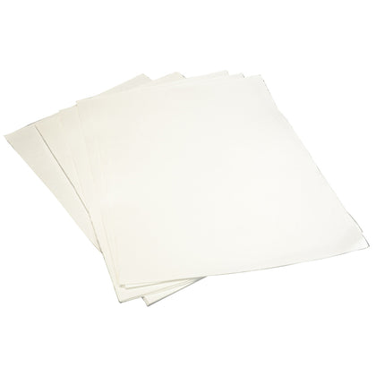 FED AF-FEDLG20 Loaded filter sheets pack of 100